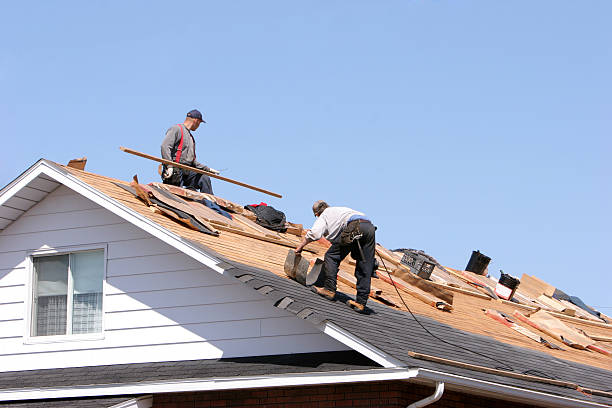 Reliable New Port Richey, FL  Roofing repair and installation Solutions