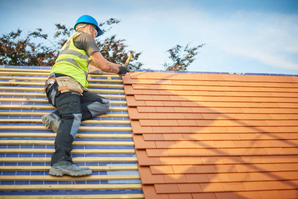 Best Gutter Installation and Repair  in New Port Richey, FL